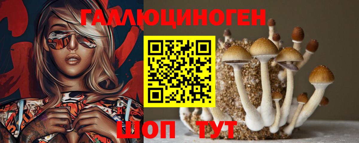 Обь  Псилоцибиновые грибы Cubensis  Псилоцибиновые грибы мицелий  Вход с VPN 