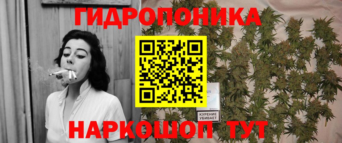 Обь  Канабис план  Каннабис конопля  Вход с VPN  Конопля сатива  Каннабис THC 21% 